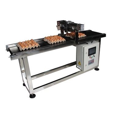 E5 400W X ट्रैवर्स सिस्टम डेट कोडिंग के लिए अंडे कोडिंग कन्वेयर मशीन
